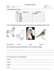 English worksheet: Observation WorkSheet : Birds Beaks & PLant Parts and their Functions