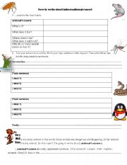 English worksheet: how to write informational report