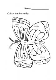 English Worksheet: Colour the Butterfly