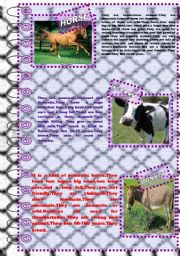 English Worksheet: FACTS ABOUT ANIMALS 5 (farm animals 2)