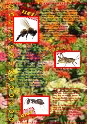 English Worksheet: FACT ABOUT ANIMALS 6 (insects 1)