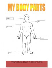 English Worksheet: body parts