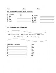 English worksheet: SIMPLE PRESENT AND ADJECTIVES