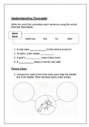 English worksheet: What animals need to live in their habitats