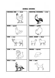 English worksheet: Animals Flashcard & Coloring sheet pt 1