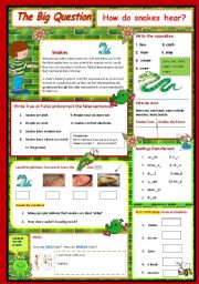 English Worksheet:   How do snakes hear? - A Science Question  2/10