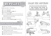 English Worksheet: Reptiles