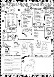 English Worksheet: what are you like ?