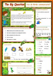 How do birds communicate - A science Question  3