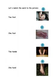 English Worksheet:  a legal worksheet about parts of the body