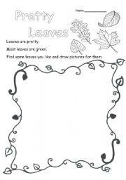 English Worksheet: Pretty Leaves