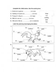 English Worksheet: Riddles on Animals