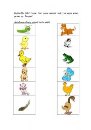 English worksheet: Animal Matching