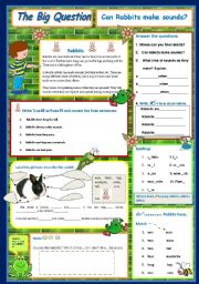 English Worksheet:  Can Rabbits make sounds?  - A Science Question   4