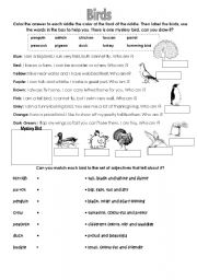 English Worksheet: Birds