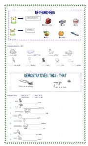 determiners A /AN DEMOSTRATIVES THIS / THAT