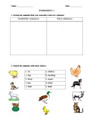 English worksheet: ANIMALS