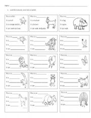 English Worksheet: Animals and Colours