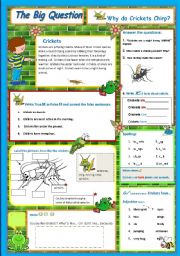 English Worksheet: Why do Crickets Chirp - A science Question   5