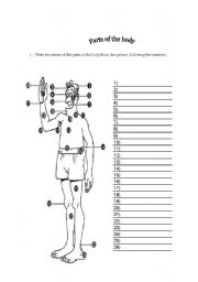 English worksheet: Parts of the Body