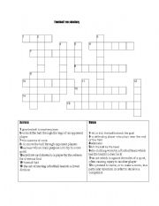 English Worksheet: football