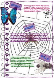 English Worksheet: FACTS ABOUTANIMALS SET (insects 2)