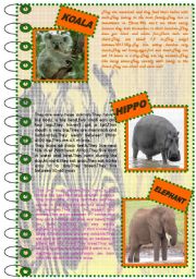 FACTS ABOUT ANIMALS SET(mammals 2)