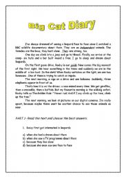 English Worksheet: The Big Cat