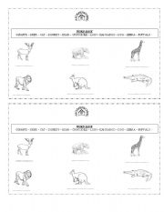 English worksheet: animal video homework