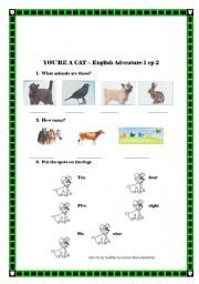 English worksheet: Youre a cat - English Adventure