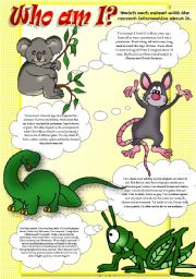 English Worksheet: ANIMAL FACTS (Part I)