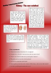 English Worksheet: Human Body - Kidney