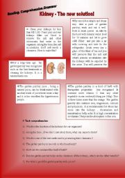 English worksheet: Human Body - Kidney