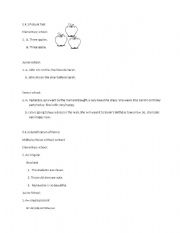 English Worksheet: example of test