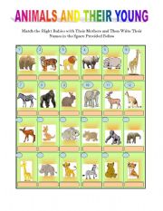 English Worksheet: Animals and their young