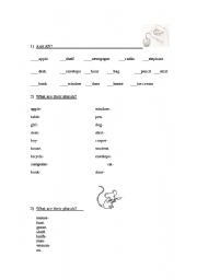 English worksheet: A/An and plural forms of the noun