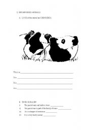 English worksheet: endangered animals