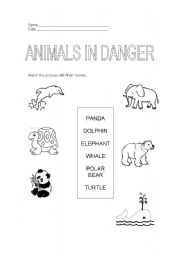 English worksheet: ANIMALS IN DANGER 3