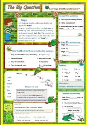 English Worksheet: Can frogs breathe underwater?  7
