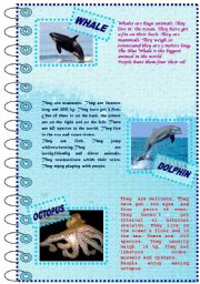 English Worksheet: FACTS ABOUT ANIMALS SET (sea animals 1)