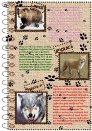 English Worksheet: FACTS ABOUT ANIMALS SET (wild animals 1)