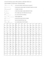 English Worksheet: computer basics