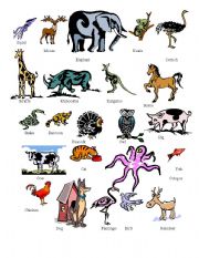 English Worksheet: animals name