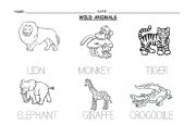 English Worksheet: WILD ANIMALS