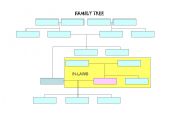 Family Tree