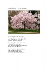 English Worksheet: Cherry blossom poem