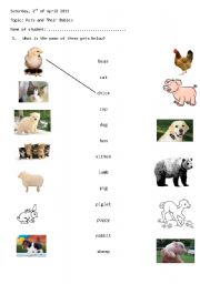 English Worksheet: matching pets and their name