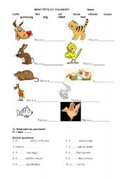 English worksheet: Pets 
