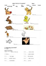English Worksheet: Pets 