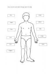 English worksheet: Body